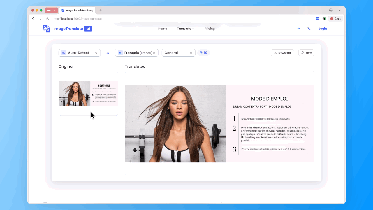 Professional Image Translator