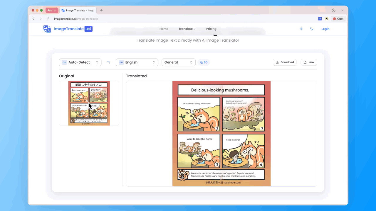 Layout-Preserving Image Translator